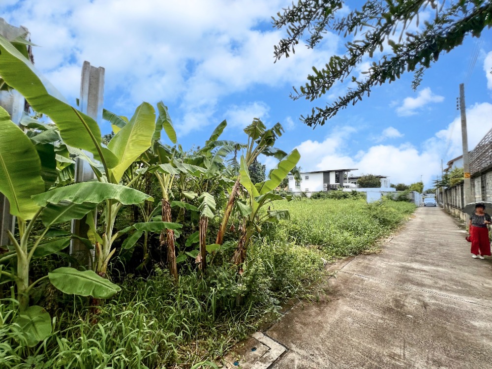 ขายที่ดินเลียบทางด่วนรามอินทรา : ขายที่ดิน ซอยโยธินพัฒนา7 แยก 2-2 ทำเลเลียบทางด่วน อาจณรงค์-รามอินทรา พื้นที่ 1-0-49 ไร่