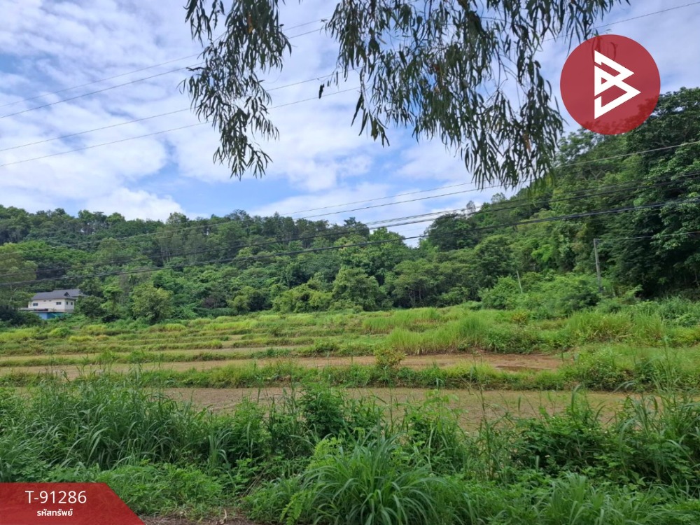 For SaleLandChiang Rai : Land for sale, area 13 rai 2 ngan 36 sq m, Thoeng, Chiang Rai