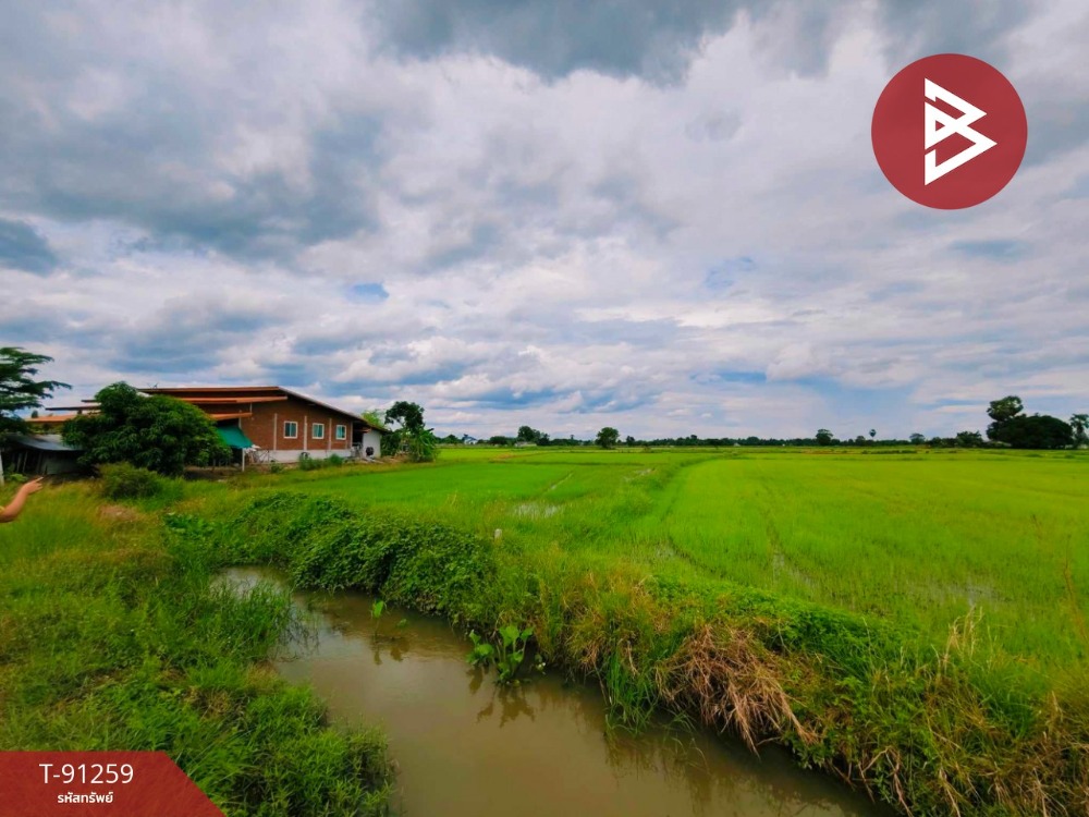 For SaleLandKanchanaburi : Empty land for sale, area 2 rai 2 ngan 17 square wah, Tha Muang, Kanchanaburi.