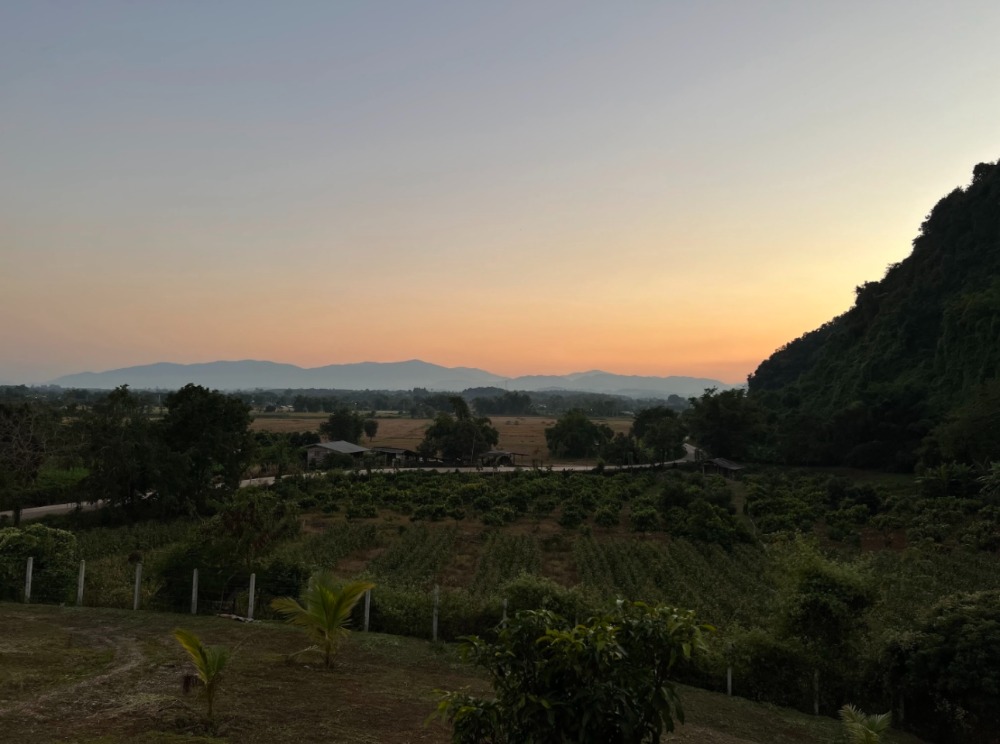 ให้เช่าบ้านเชียงราย : 🔥ให้เช่าราคาพิเศษ ถูกสุด 🔥 ให้เช่าวิลล่าทั้งหลัง  อำเภอแม่จัน เชียงราย  วิวไร่ชาฉุยเฟิง