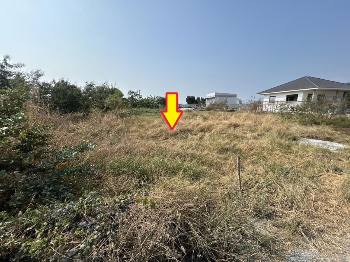 For SaleLandSamut Prakan,Samrong : ⭕️ Land for sale in the amount of 100 sq.w. coordinates: Khlong Dan (near the Wing Ka Market), Samut Prakan Province ⭕️