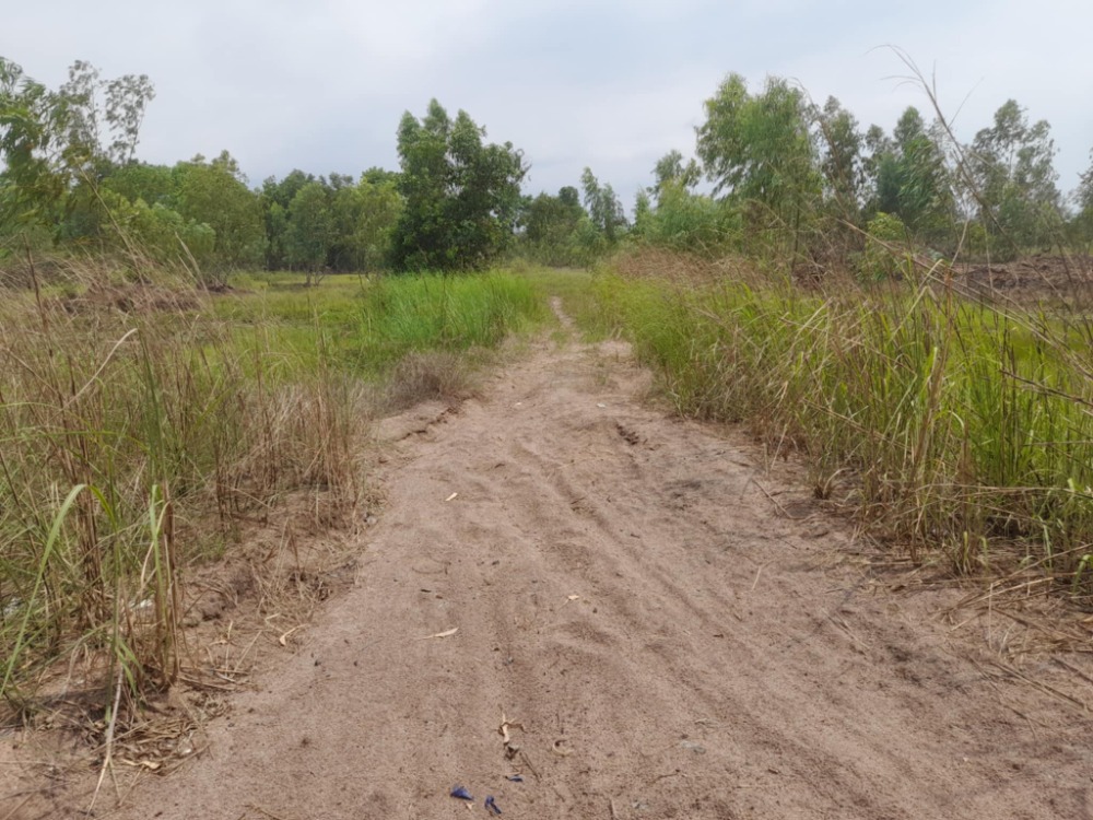 ขายที่ดินศรีราชา แหลมฉบัง บ้านบึง : สร้างโรงงานในฝัน! ที่ดินใหญ่พร้อมใช้ นิคมโรจนะ ✨ ที่ดิน นิคมอุตสาหกรรมโรจนะ แหลมฉบัง / (ขาย), Land Rojana Industrial Estate Laem Chabang / (SALE) YEAN122