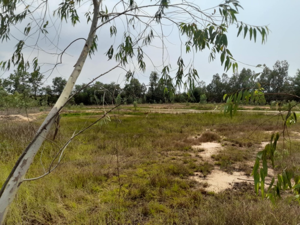 ขายที่ดินศรีราชา แหลมฉบัง บ้านบึง : สร้างโรงงานในฝัน! ที่ดินใหญ่พร้อมใช้ นิคมโรจนะ ✨ ที่ดิน นิคมอุตสาหกรรมโรจนะ แหลมฉบัง / (ขาย), Land Rojana Industrial Estate Laem Chabang / (SALE) YEAN122