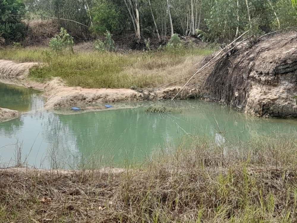 ขายที่ดินศรีราชา แหลมฉบัง บ้านบึง : สร้างโรงงานในฝัน! ที่ดินใหญ่พร้อมใช้ นิคมโรจนะ ✨ ที่ดิน นิคมอุตสาหกรรมโรจนะ แหลมฉบัง / (ขาย), Land Rojana Industrial Estate Laem Chabang / (SALE) YEAN122