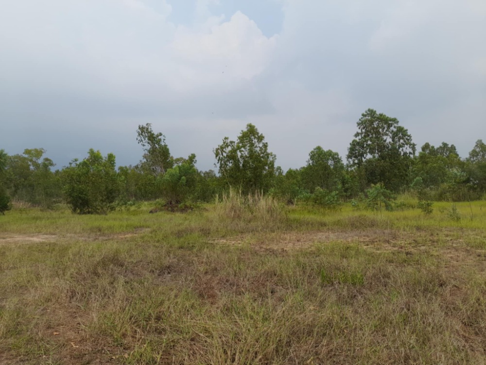 ขายที่ดินศรีราชา แหลมฉบัง บ้านบึง : สร้างโรงงานในฝัน! ที่ดินใหญ่พร้อมใช้ นิคมโรจนะ ✨ ที่ดิน นิคมอุตสาหกรรมโรจนะ แหลมฉบัง / (ขาย), Land Rojana Industrial Estate Laem Chabang / (SALE) YEAN122