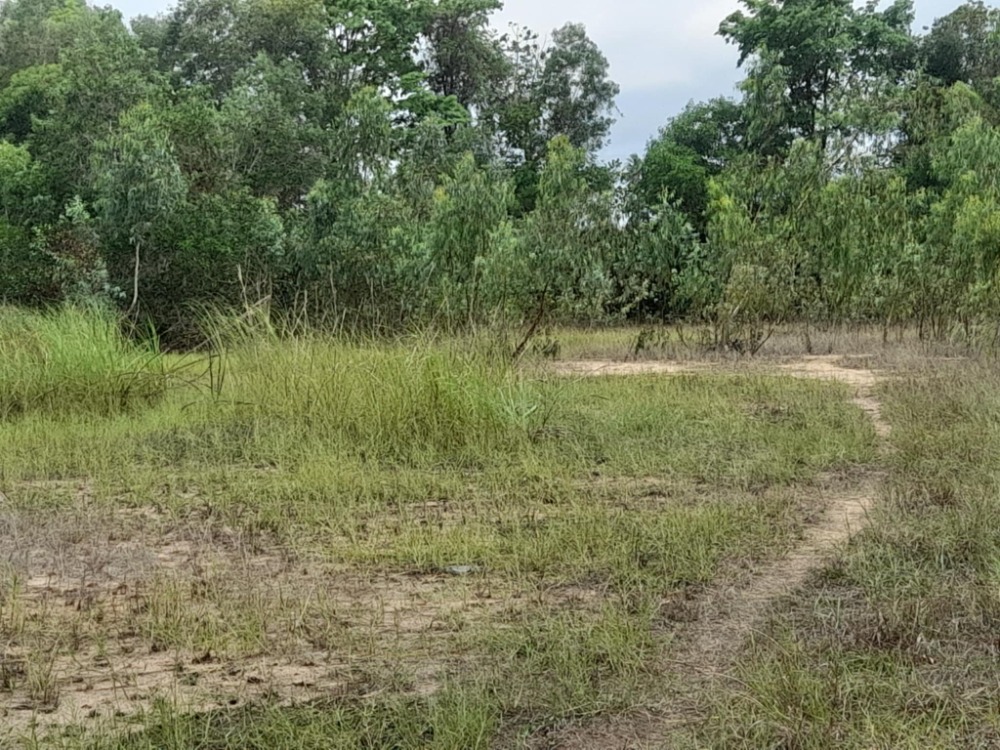 ขายที่ดินศรีราชา แหลมฉบัง บ้านบึง : สร้างโรงงานในฝัน! ที่ดินใหญ่พร้อมใช้ นิคมโรจนะ ✨ ที่ดิน นิคมอุตสาหกรรมโรจนะ แหลมฉบัง / (ขาย), Land Rojana Industrial Estate Laem Chabang / (SALE) YEAN122