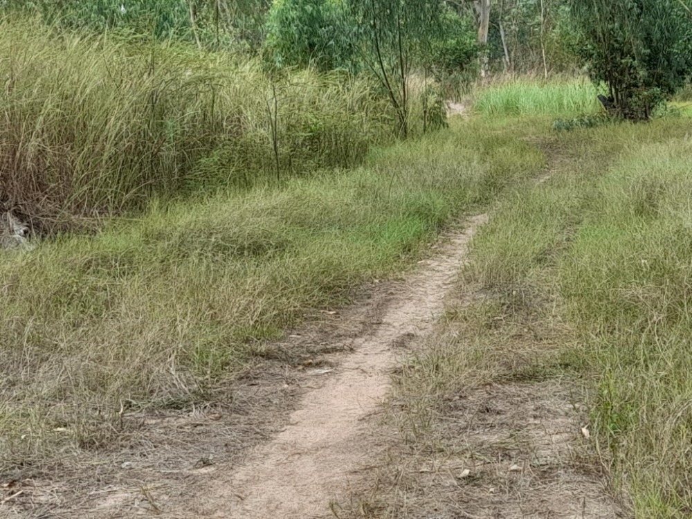 ขายที่ดินศรีราชา แหลมฉบัง บ้านบึง : สร้างโรงงานในฝัน! ที่ดินใหญ่พร้อมใช้ นิคมโรจนะ ✨ ที่ดิน นิคมอุตสาหกรรมโรจนะ แหลมฉบัง / (ขาย), Land Rojana Industrial Estate Laem Chabang / (SALE) YEAN122