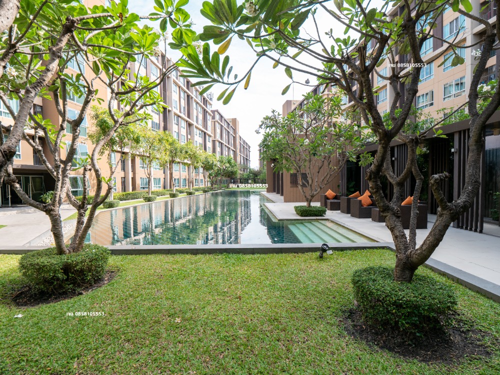 For RentCondoPathum Thani,Rangsit, Thammasat : Condo for rent, 30 sq m., Phase 1, Building D, 4th floor, good location, good view, swimming pool and beautiful garden view, east side, D-Condo Campus Resort Rangsit, near Thammasat University Rangsit, for rent, D-Condo Campus Resort Rangsit, room size 30