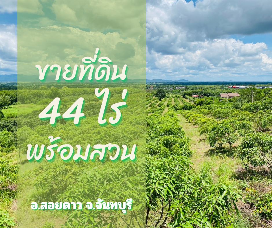 For SaleLandChanthaburi : Land for sale with garden, 44 rai, next to the mountain, cheap price, convenient travel, prime location, Soi Dao, Chanthaburi, free transfer fee + tax
