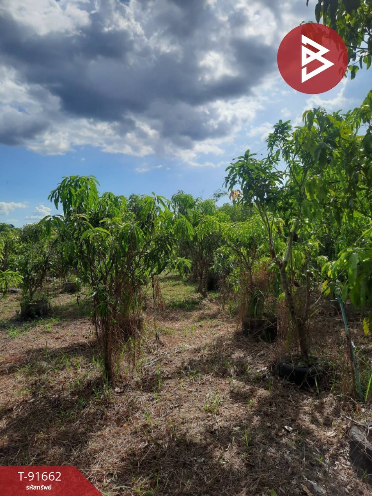 For SaleLandPrachin Buri : For sale: Agricultural land with business, area 9 rai 3 ngan 46 square wa