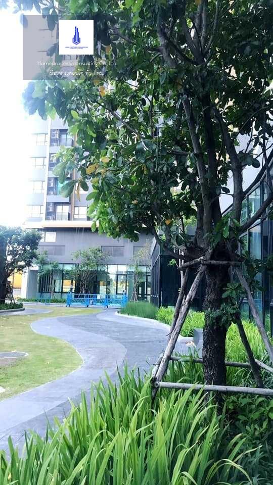 For RentCondoBangna, Bearing, Lasalle : For rent at Niche Mono Sukhumvit-Bearing Negotiable at @Condobkk (with @ too)