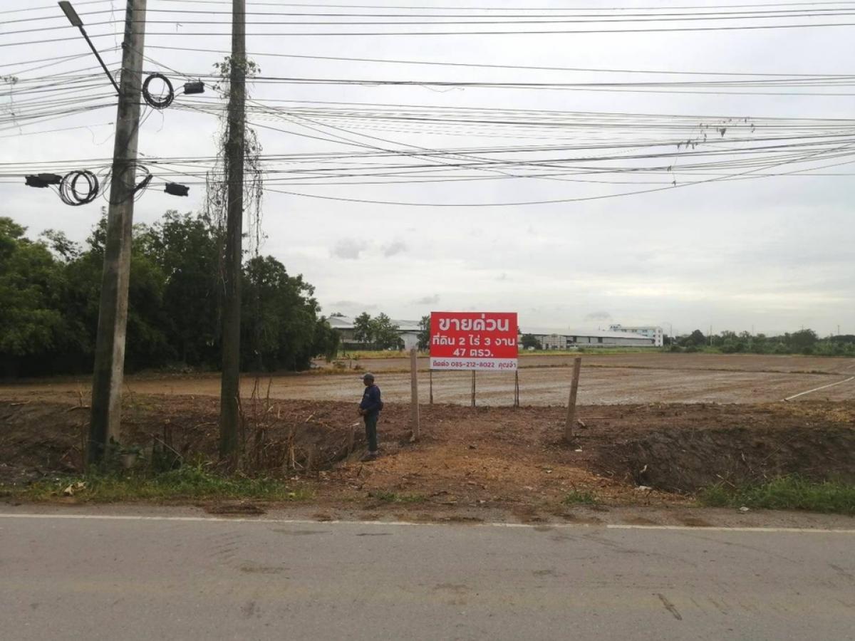 ขายที่ดินปทุมธานี รังสิต ธรรมศาสตร์ : ยินดีรับนายหน้า Vายด่วน!!! (!)(!)ที่ดิน 2 ไร่ 3 งาน 47 ตรว.ต.บางพูด อ.เมือง จ.ปทุมธานีพื้นที่สี่เหลี่ยมสวย