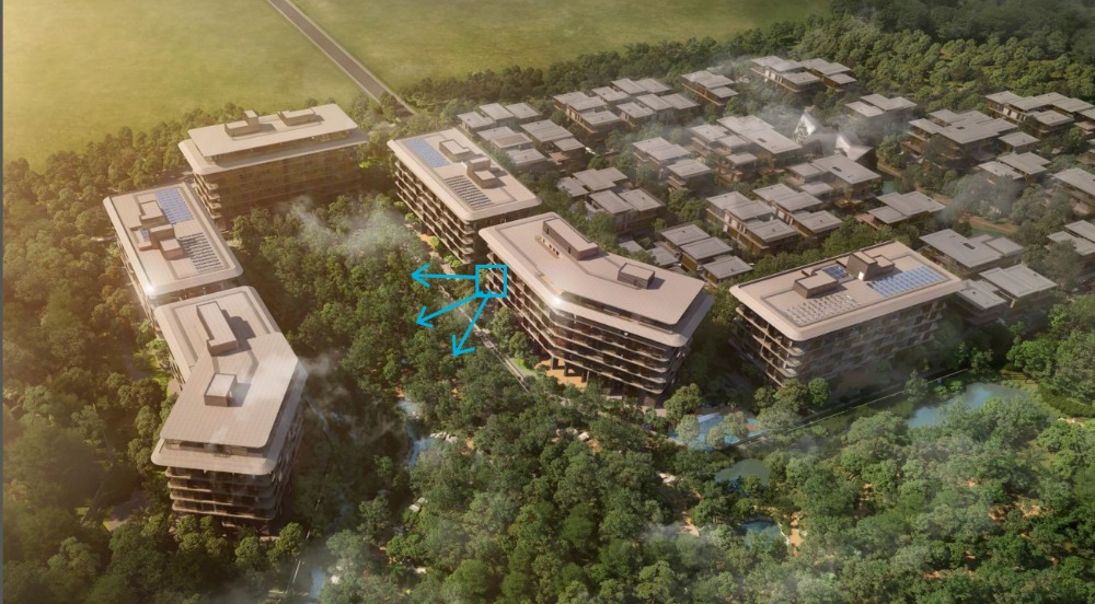ขายดาวน์คอนโดบางนา แบริ่ง ลาซาล : Sale Mulberry Grove Condo 3 Bed 38 MB