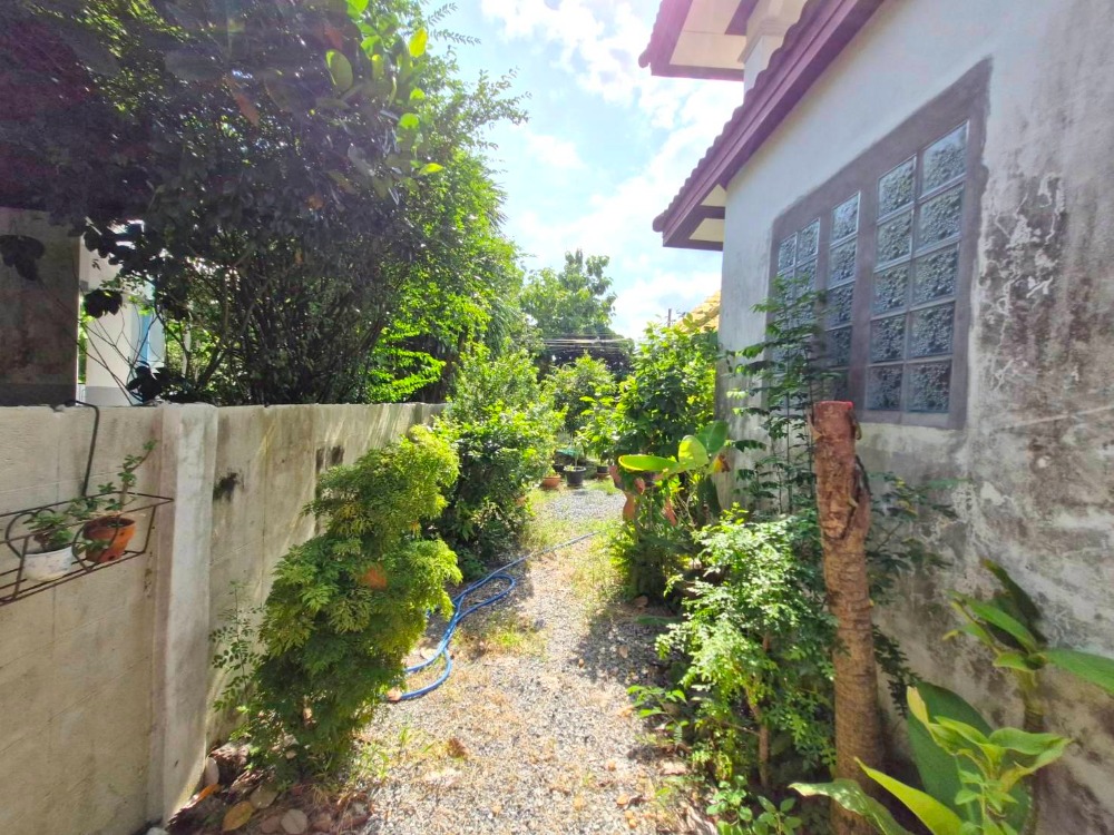 ขายบ้านมีนบุรี-ร่มเกล้า : ขายบ้านเดี่ยวพนาสนธิ์ การ์เด้นโฮม 3 หลังมุม บริเวณกว้างขวาง ราคาถูก ร่มเกล้าซอย 15