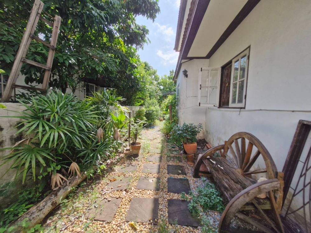 ขายบ้านมีนบุรี-ร่มเกล้า : ขายบ้านเดี่ยวพนาสนธิ์ การ์เด้นโฮม 3 หลังมุม บริเวณกว้างขวาง ราคาถูก ร่มเกล้าซอย 15