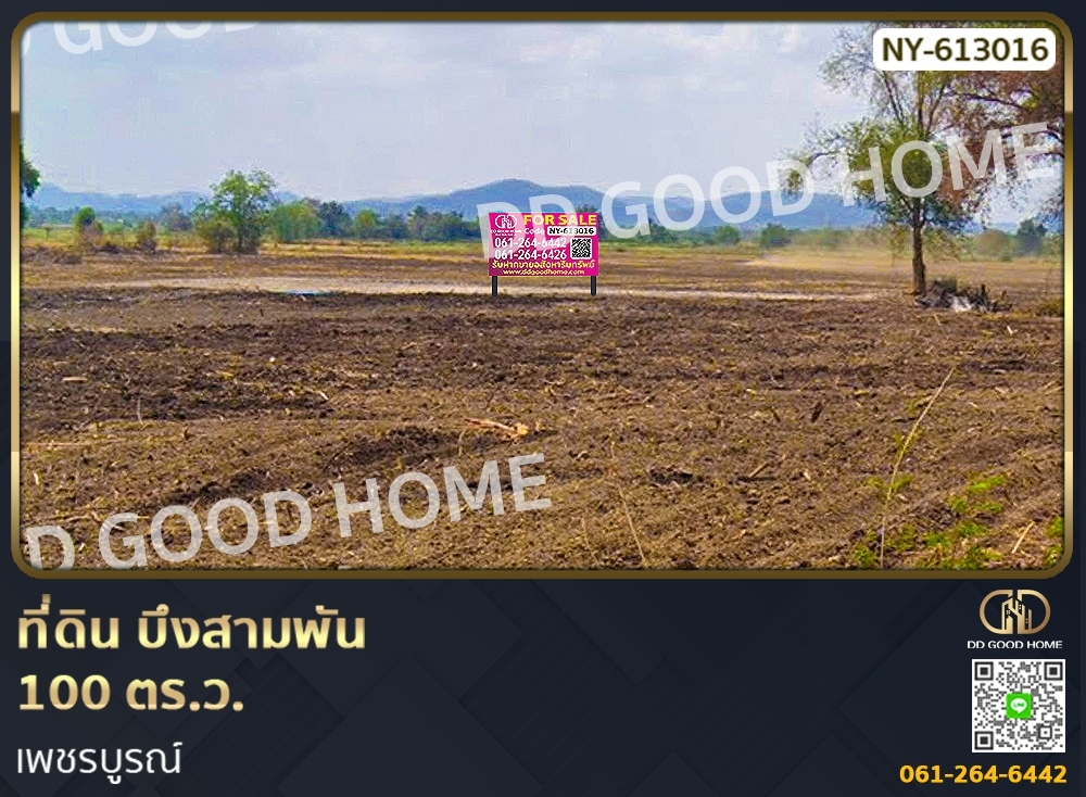 For SaleLandPhetchabun : Land, Bueng Sam Phan, 100 sq w, Phetchabun