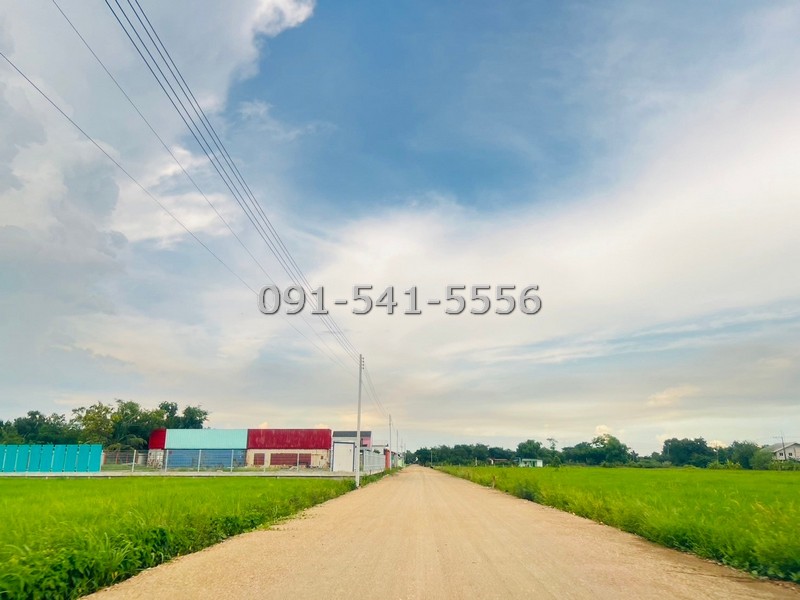 ขายที่ดินปทุมธานี รังสิต ธรรมศาสตร์ : ขายที่ดิน 2 แปลง แปลงละ 1 ไร่ รูปสีเหลี่ยมผืนผ้า ซ.บึงบอน 21,23 ใกล้สถานที่สำคัญต่างๆมากมาย