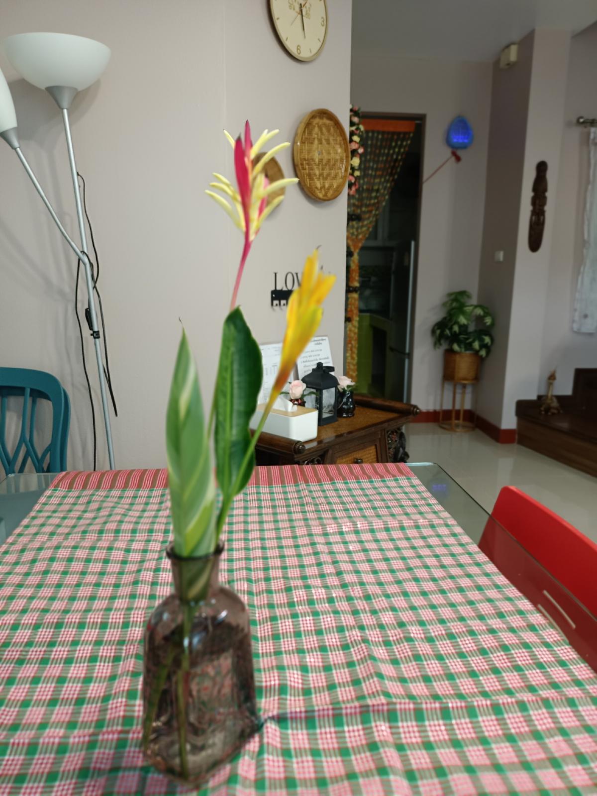 ให้เช่าทาวน์โฮมนนทบุรี บางใหญ่ บางบัวทอง : Be Cute บ้านให้เช่า ระยะสั้น  3 นอน 2 น้ำ แปลงมุม ถนนเมน มีสวนหย่อม พักได้ไม่เกิน  6  ท่าน จอดรถ 2 คัน หมู่บ้านทิพย์พิมาน บ้านริมน้ำ ติด MRT คลองบางไผ่