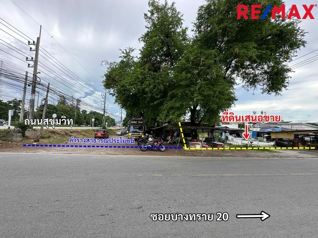 ขายที่ดินพัทยา บางแสน ชลบุรี สัตหีบ : ขายที่ดินติดถนนสุขุมวิท มุมซอยบางทราย 20 เมืองชลบุรี 375 ตารางวา ราคา 60,000 บาท/ตารางวา