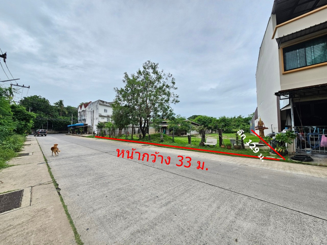 For SaleLandSurin : Land for sale, roadside, city location, 3 rai, 1 ngan, 99.9 sq m.