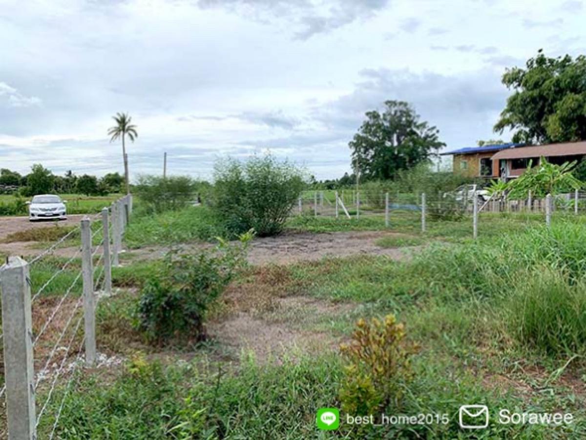 For SaleLandPathum Thani,Rangsit, Thammasat : Land for sale, Sam Khok, Pathum Thani, suitable for building a house