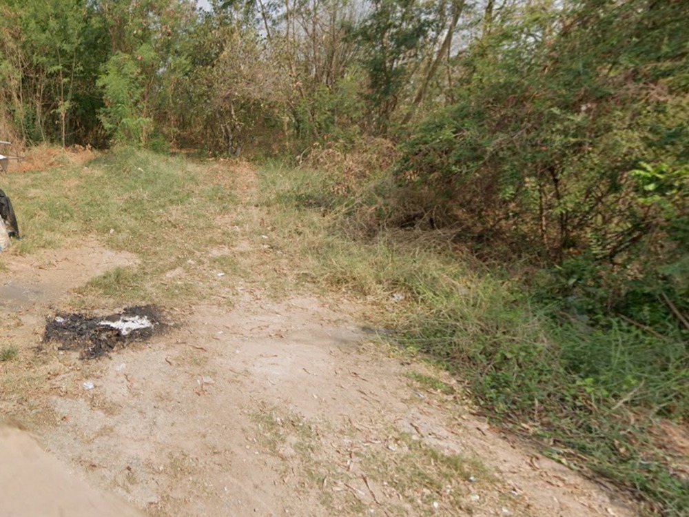 ขายที่ดินสุโขทัย : ขายที่ดิน 2 แปลง รวม 2 ไร่ 1 งาน 87 ต.ร.ว อ.เมือง จ.สุโขทัย