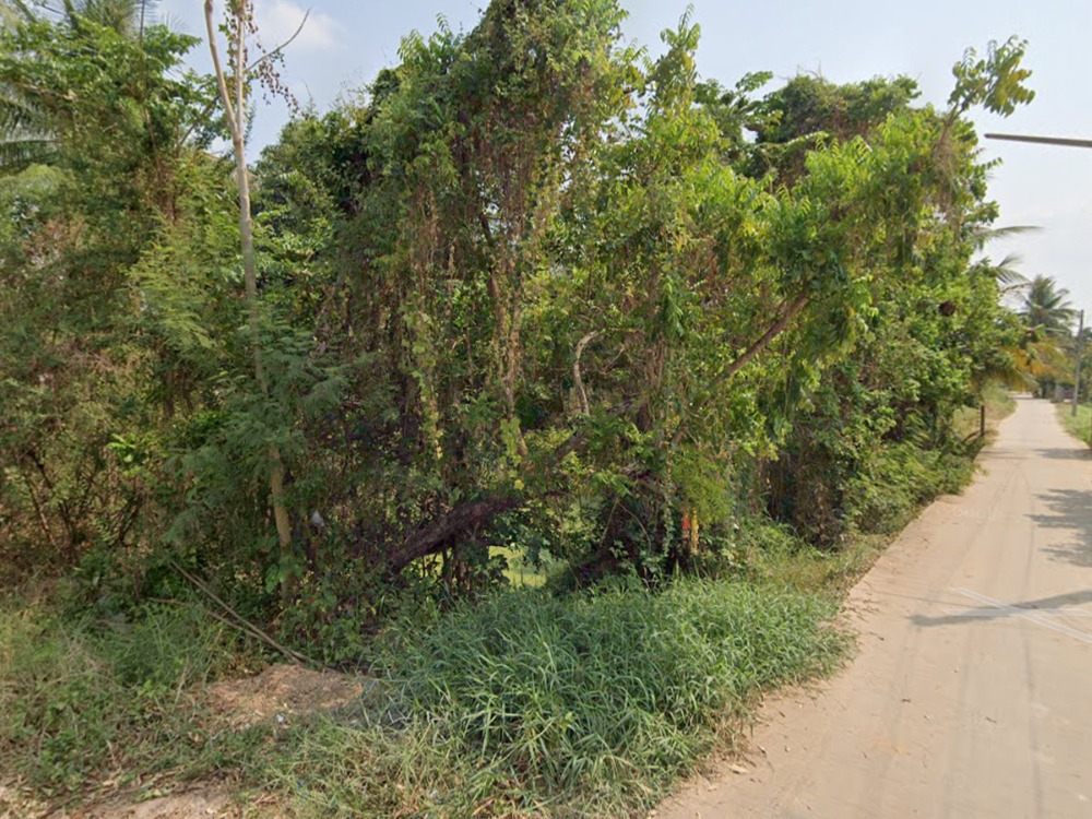 ขายที่ดินสุโขทัย : ขายที่ดิน 2 แปลง รวม 2 ไร่ 1 งาน 87 ต.ร.ว อ.เมือง จ.สุโขทัย