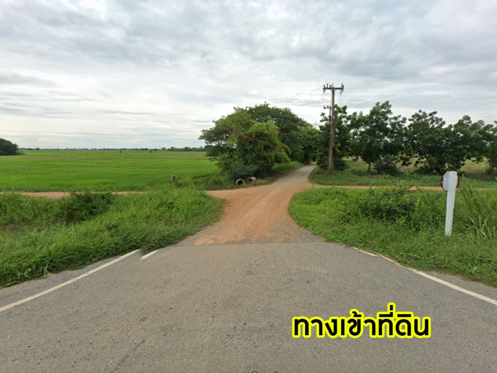 ขายที่ดินอ่างทอง : ขายด่วนที่ดินราคาถูก เนื้อที่ 9 ไร่ 80 ต.ร.ว. โคกพุทรา อ.โพธิ์ทอง จ.อ่างทอง