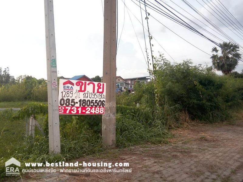 For SaleLandPathum Thani,Rangsit, Thammasat : Empty land for sale, 1289 square wah, width 95 meters, depth 80 meters, next to Inner Pathum Thani Road, already filled.