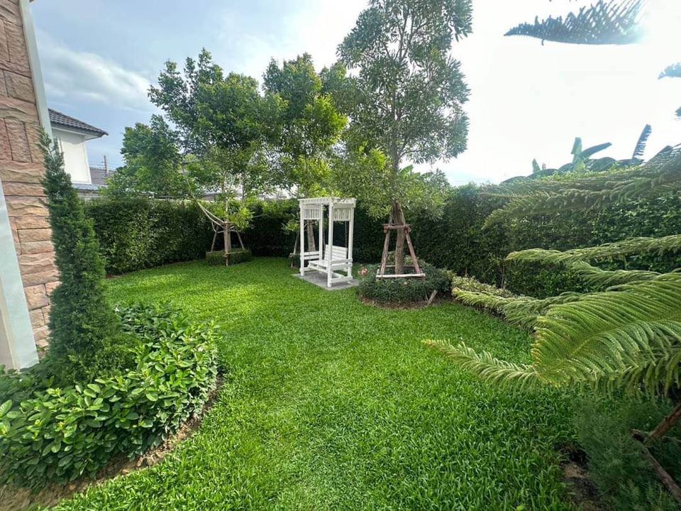 ให้เช่าบ้านบางแค เพชรเกษม : ให้เช่าบ้านเดี่ยว หมู่บ้าน NEO HOME BANGKAE หลังมุม ใกล้ The Mall บางแค และ MRT บ้านสวย พร้อมอยู่