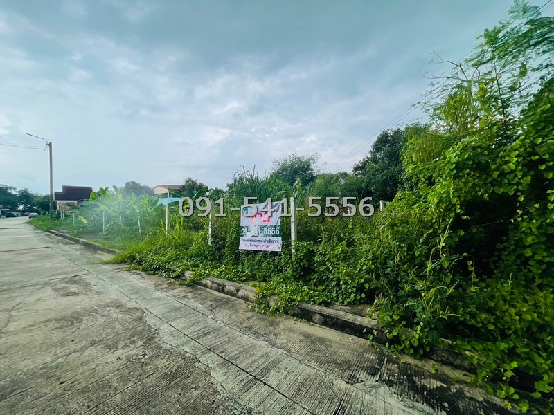 ขายที่ดินเลียบทางด่วนรามอินทรา : ขายที่ดิน 113 ตรว แปลงมุม ติดถนน 2 ด้าน ม.ปัญญาเลคโฮม นิมิตใหม่ 28 เงียบสงบ สะอาด ถนนค่อนข้างกว้าง