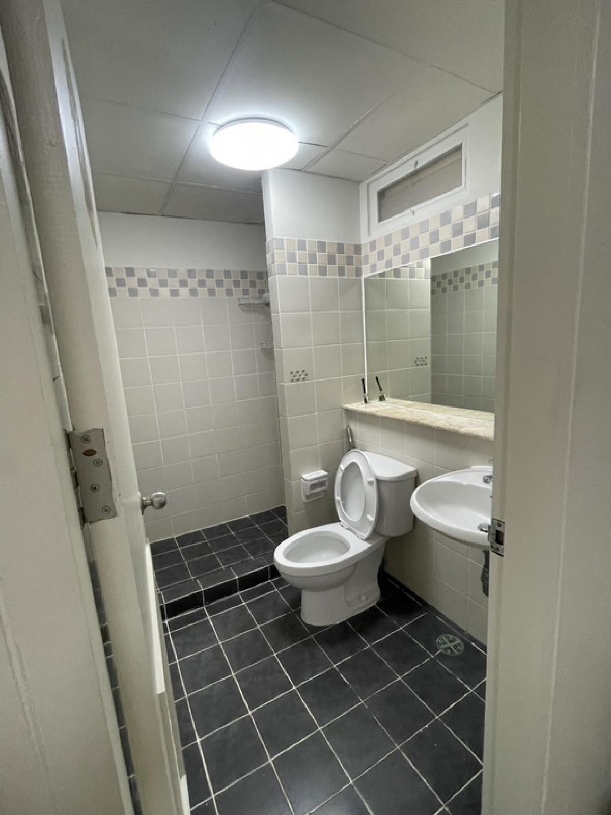 ให้เช่าคอนโดบางนา แบริ่ง ลาซาล : ให้เช่า คอนโดเลี้ยงแมวได้ 1 ตัว ราคา 7,000 บาท ต่อเดือน ย่าน บางนา-ตราด 37