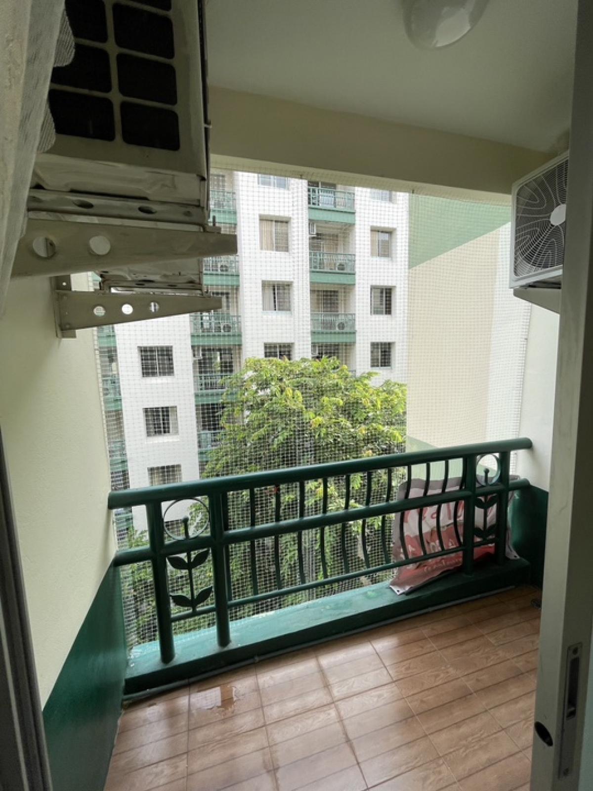 ให้เช่าคอนโดบางนา แบริ่ง ลาซาล : ให้เช่า คอนโดเลี้ยงแมวได้ 1 ตัว ราคา 7,000 บาท ต่อเดือน ย่าน บางนา-ตราด 37