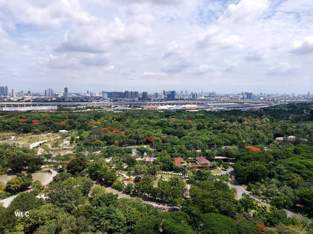 ให้เช่าคอนโดสะพานควาย จตุจักร : The Line Jatujak-Mochit ห้องชั้นสูง วิวสวย ไม่บล็อก 22,000