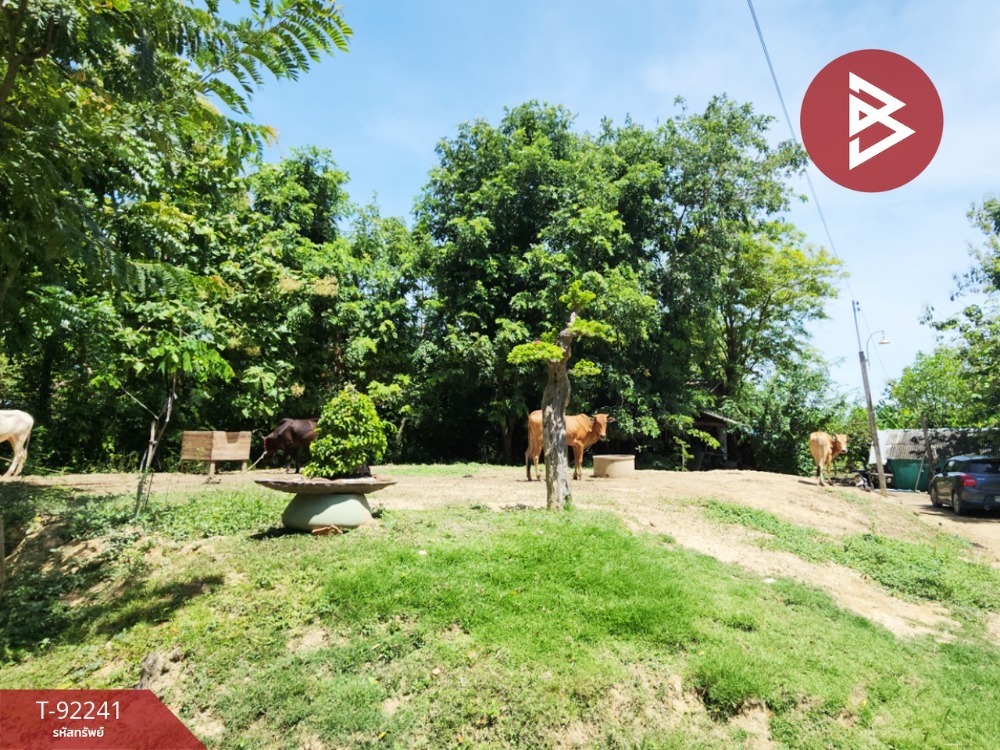 For SaleLandCha-am Phetchaburi : Urgent sale of land, area 8 rai 1 ngan 73 square wa, Chong Sakae, Phetchaburi