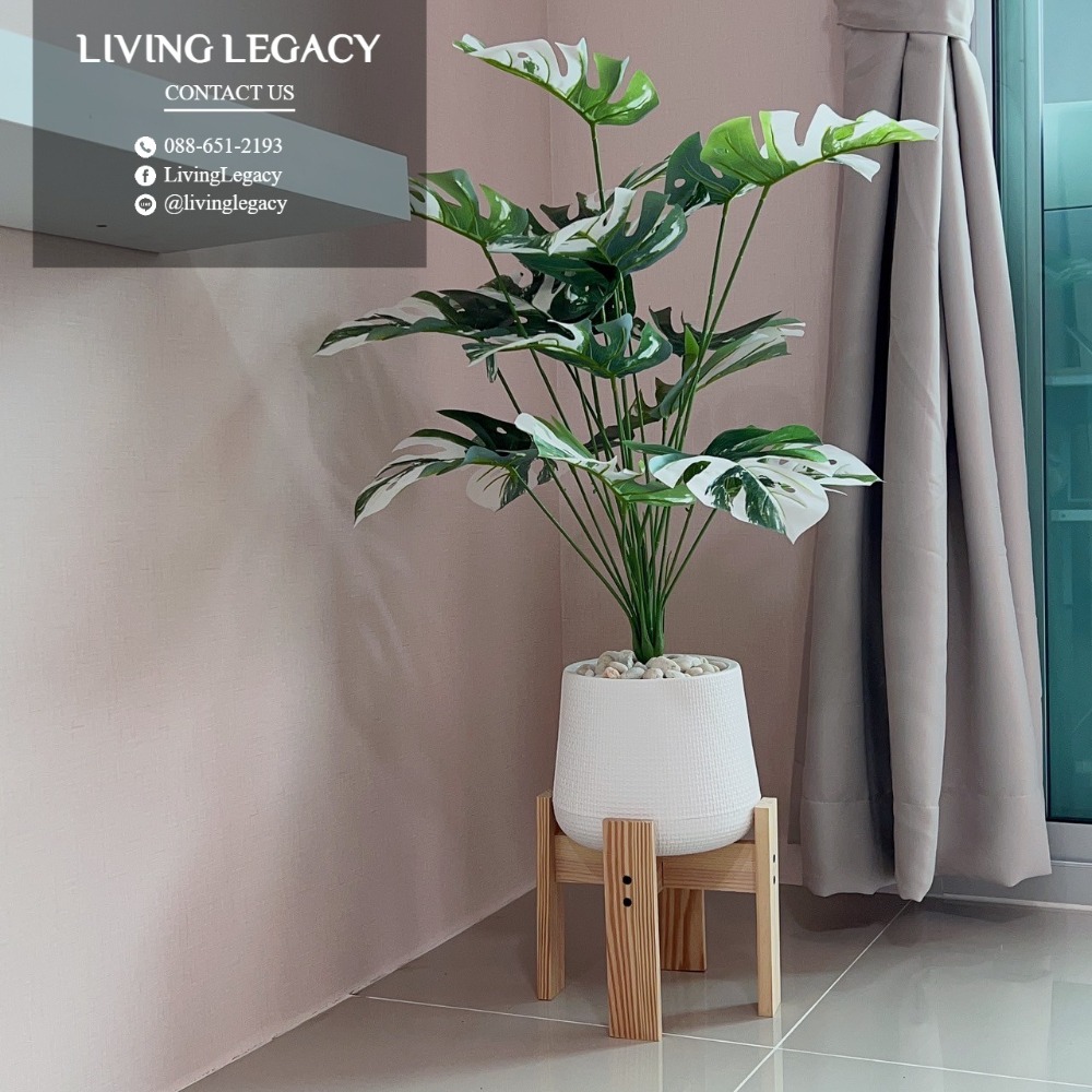 For RentCondoPattanakan, Srinakarin : LSZV0VVV Condo for rent Asakan Place Srinakarindra 32.48 sq m. 29th floor line id : @livinglegacy call : 088-651-2193