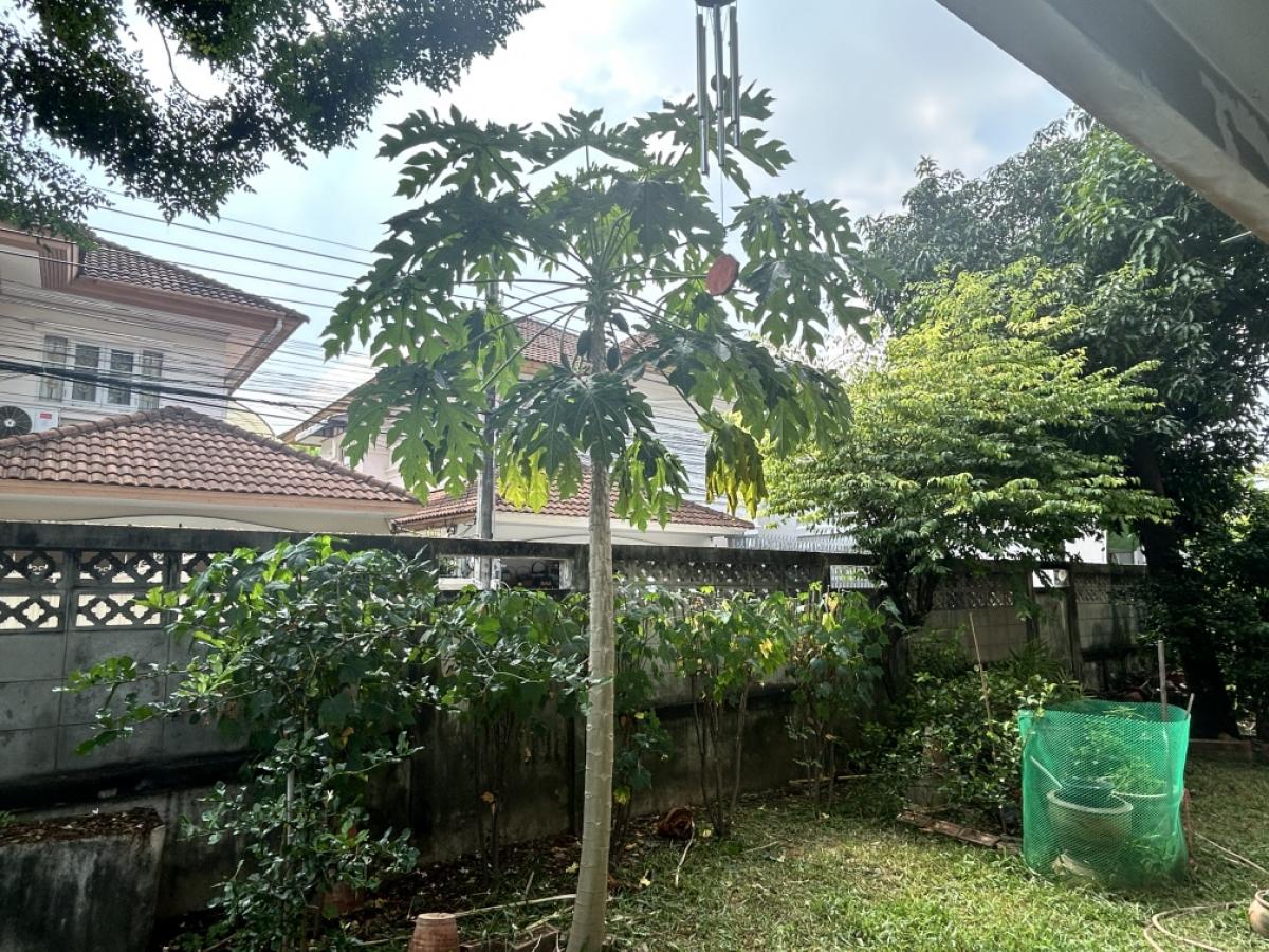 ขายบ้านรัชดา ห้วยขวาง : ขายบ้านเดี่ยวย่านลาดพร้าว 34 ลึก 700 เมตร 5 ห้องนอน 093 296 2878 2)  ใกล้ MRT ลาดพร้าว 700 เมตร