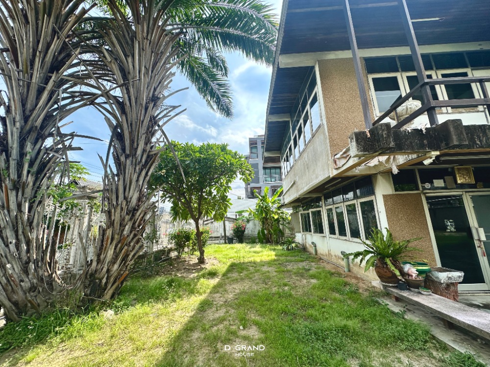 ขายที่ดินอ่อนนุช อุดมสุข : ที่ดินพร้อมสิ่งปลูกสร้าง ในซอยสุขุมวิท 𝟵𝟳/𝟭 พื้นที่กว้างขวาง ทำเลดี ใกล้รถไฟฟ้าสถานีบางจากเพียง 𝟴𝟬𝟬 เมตร