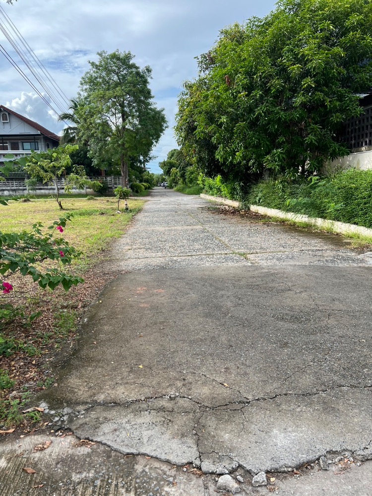 For SaleLandPhitsanulok : Beautiful land, Na Thong Village, Phitsanulok