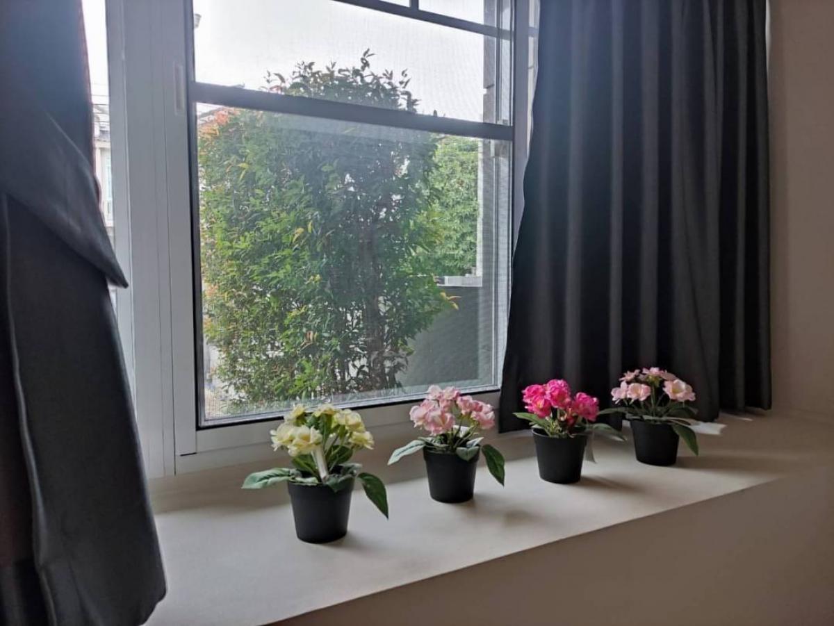 ให้เช่าทาวน์โฮมมีนบุรี-ร่มเกล้า : 🍒ขาย /ให้เช่า หมู่บ้านอินดี้ ศรีนครินทร์-ร่มเกล้า 24 ตกแต่งสวย ต้นซอย ใกล้สวน