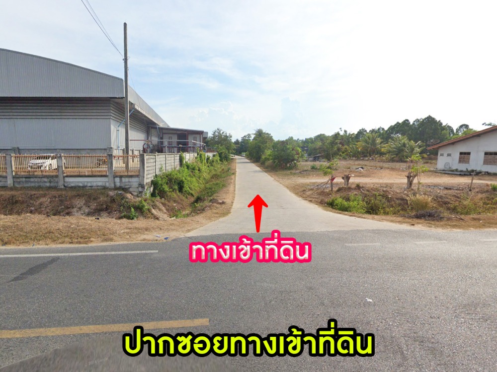 ขายที่ดินหาดใหญ่ สงขลา : ขายที่ดิน 2แปลง ชายหาดสิงหนคร รวมแปลงหรือแยกได้ สิงหนคร สงขลา