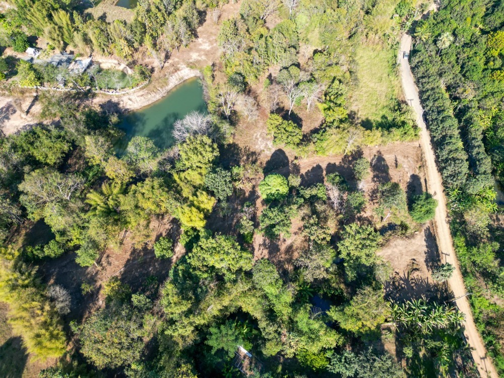 For SaleLandChiang Mai : VERY RARE, It is very hard to find a site as good as this! (HDLAND017)