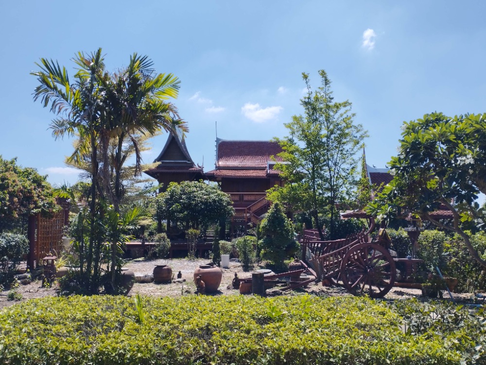 ขายบ้านปทุมธานี รังสิต ธรรมศาสตร์ : บ้านสวนทรงไทย พร้อมที่ดิน 2 ไร่กว่า ไม่ไกลจากกรุงเทพฯ