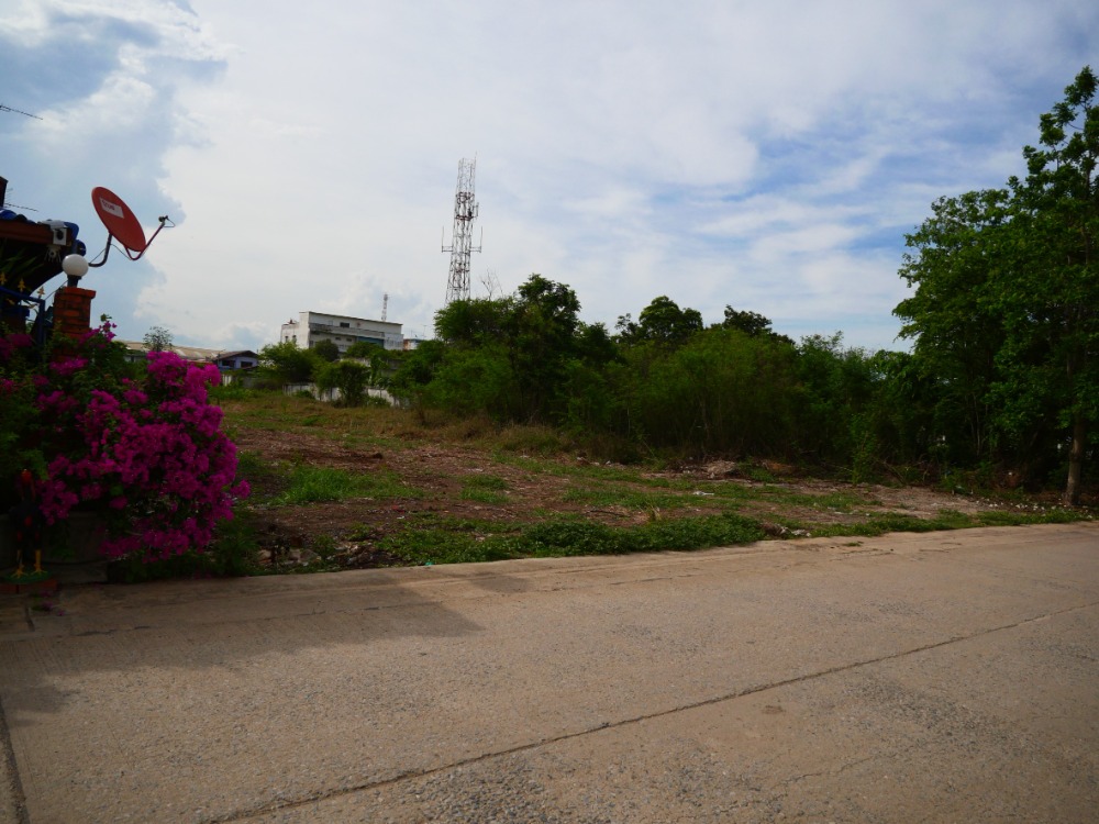 ขายที่ดินอ่างทอง : ที่ดินในเมือง หน้าโรงพยาบาลป่าโมก ที่แปลงสวย, อ่างทอง