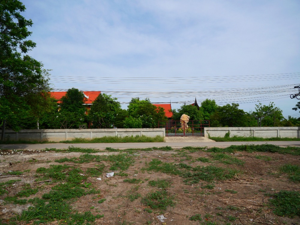 ขายที่ดินอ่างทอง : ที่ดินในเมือง หน้าโรงพยาบาลป่าโมก ที่แปลงสวย, อ่างทอง