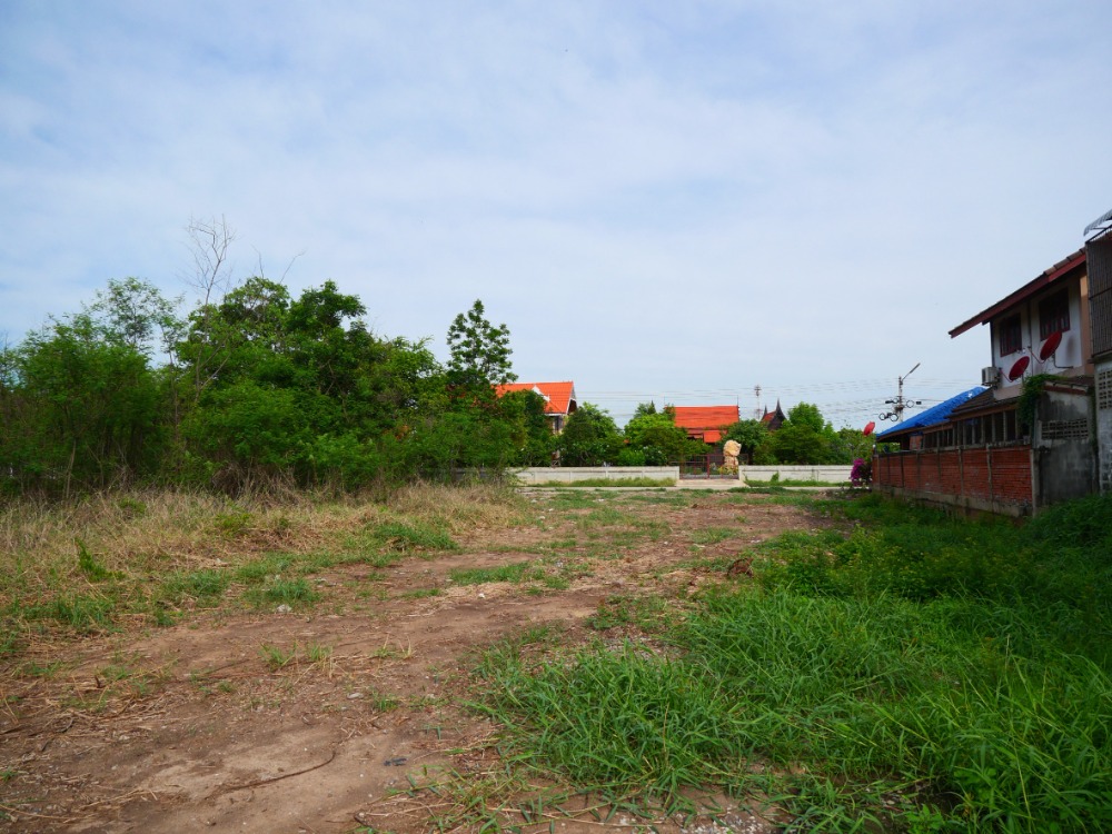 ขายที่ดินอ่างทอง : ที่ดินในเมือง หน้าโรงพยาบาลป่าโมก ที่แปลงสวย, อ่างทอง