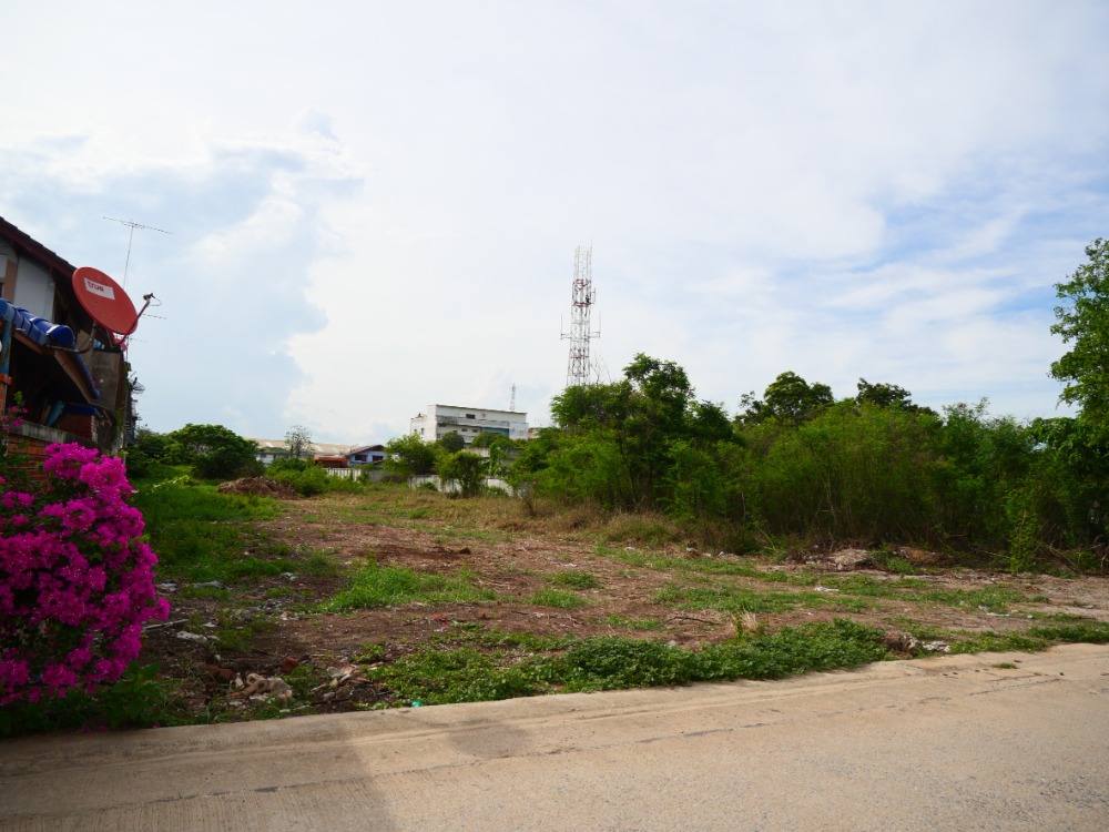 ขายที่ดินอ่างทอง : ที่ดินในเมือง หน้าโรงพยาบาลป่าโมก ที่แปลงสวย, อ่างทอง