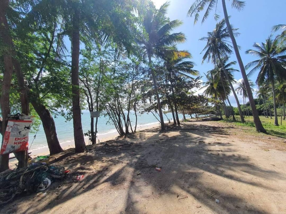 For SaleLandKoh Samui, Surat Thani : S-LSSB101 Land for sale, Sunset Beach (land on Koh Samui), total area of ​​2 plots connected, 4 rai, 3 ngan, 42 sq m, 145 million, 064-959-8900