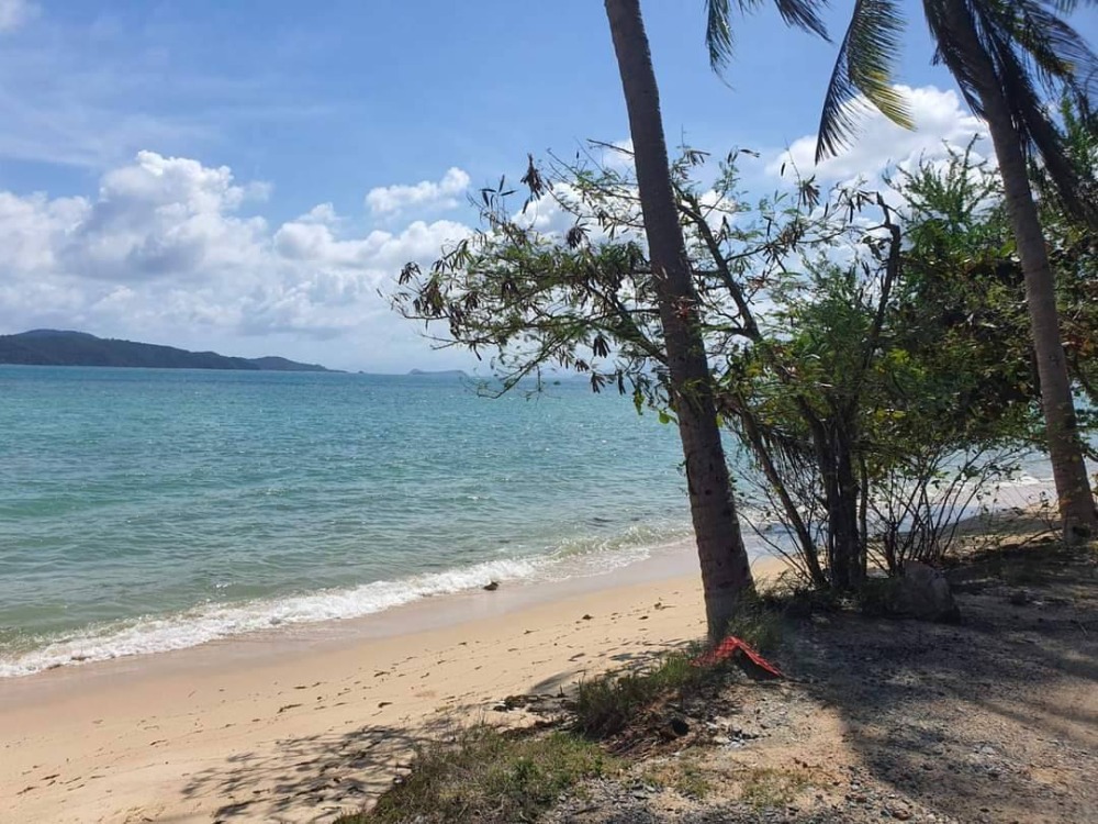 For SaleLandKoh Samui, Surat Thani : S-LSSB101 Land for sale, Sunset Beach (land on Koh Samui), total area of ​​2 plots connected, 4 rai, 3 ngan, 42 sq m, 145 million, 064-959-8900