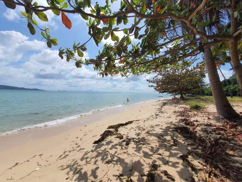 For SaleLandKoh Samui, Surat Thani : S-LSSB101 Land for sale, Sunset Beach (land on Koh Samui), total area of ​​2 plots connected, 4 rai, 3 ngan, 42 sq m, 145 million, 064-959-8900